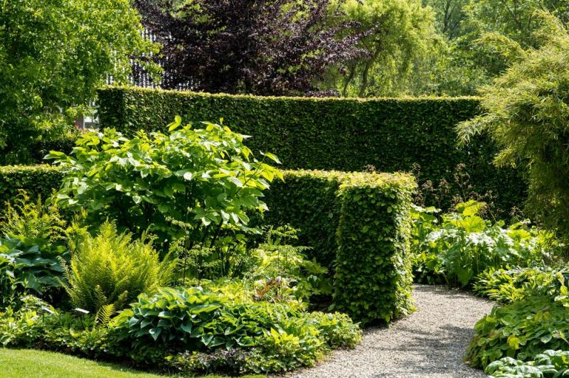 Taille de haies &agrave; Buissoncourt : pr&eacute;server la beaut&eacute; de votre jardin