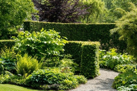 Taille de haies &agrave; Buissoncourt : pr&eacute;server la beaut&eacute; de votre jardin