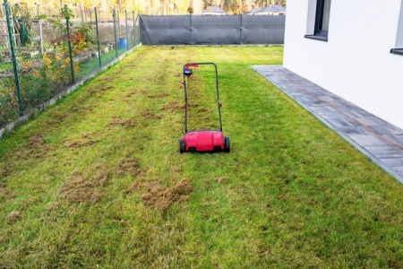 La scarification de pelouse &agrave; Buissoncourt, cl&eacute; d'un gazon luxuriant